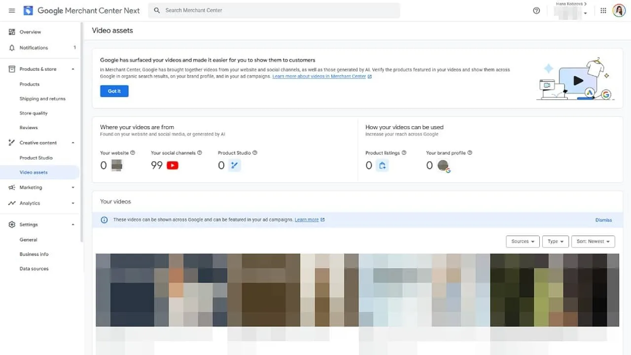 Original newsletter image: The video assets section is now actively populating in the Merchant Center