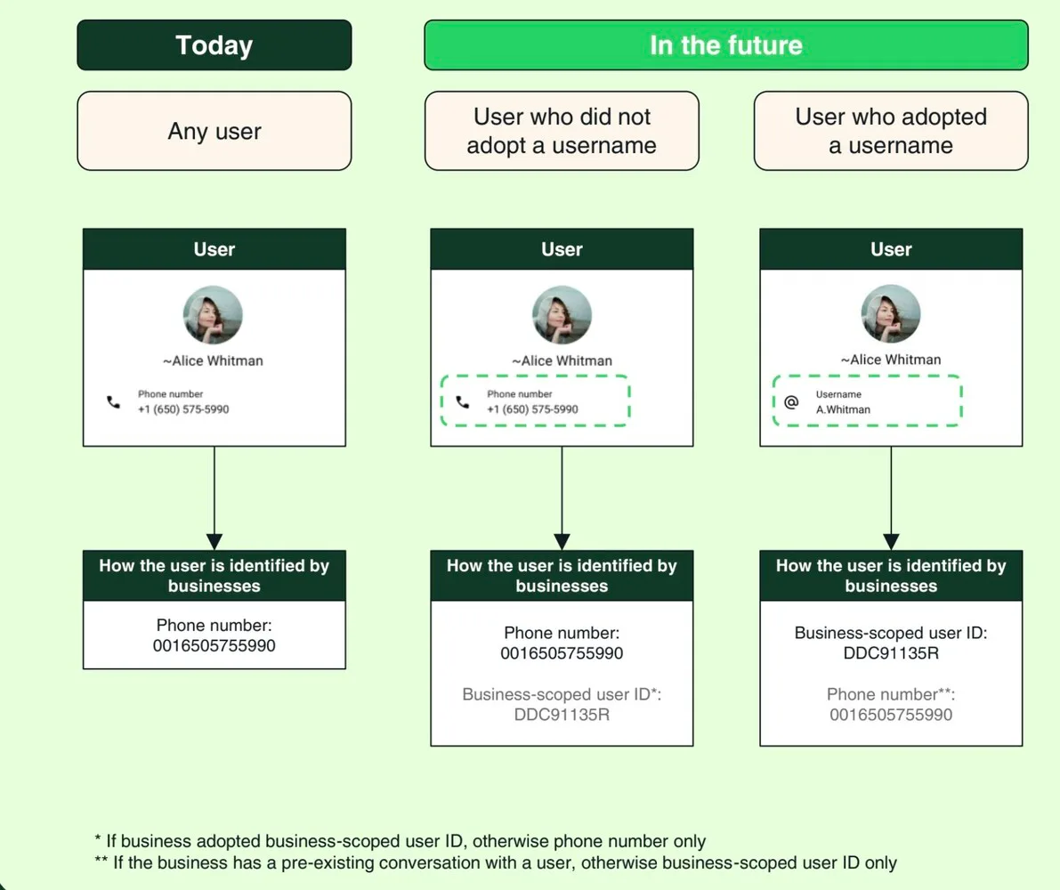 Original newsletter image: WhatsApp to introduce usernames and business-scoped user IDs in 2026