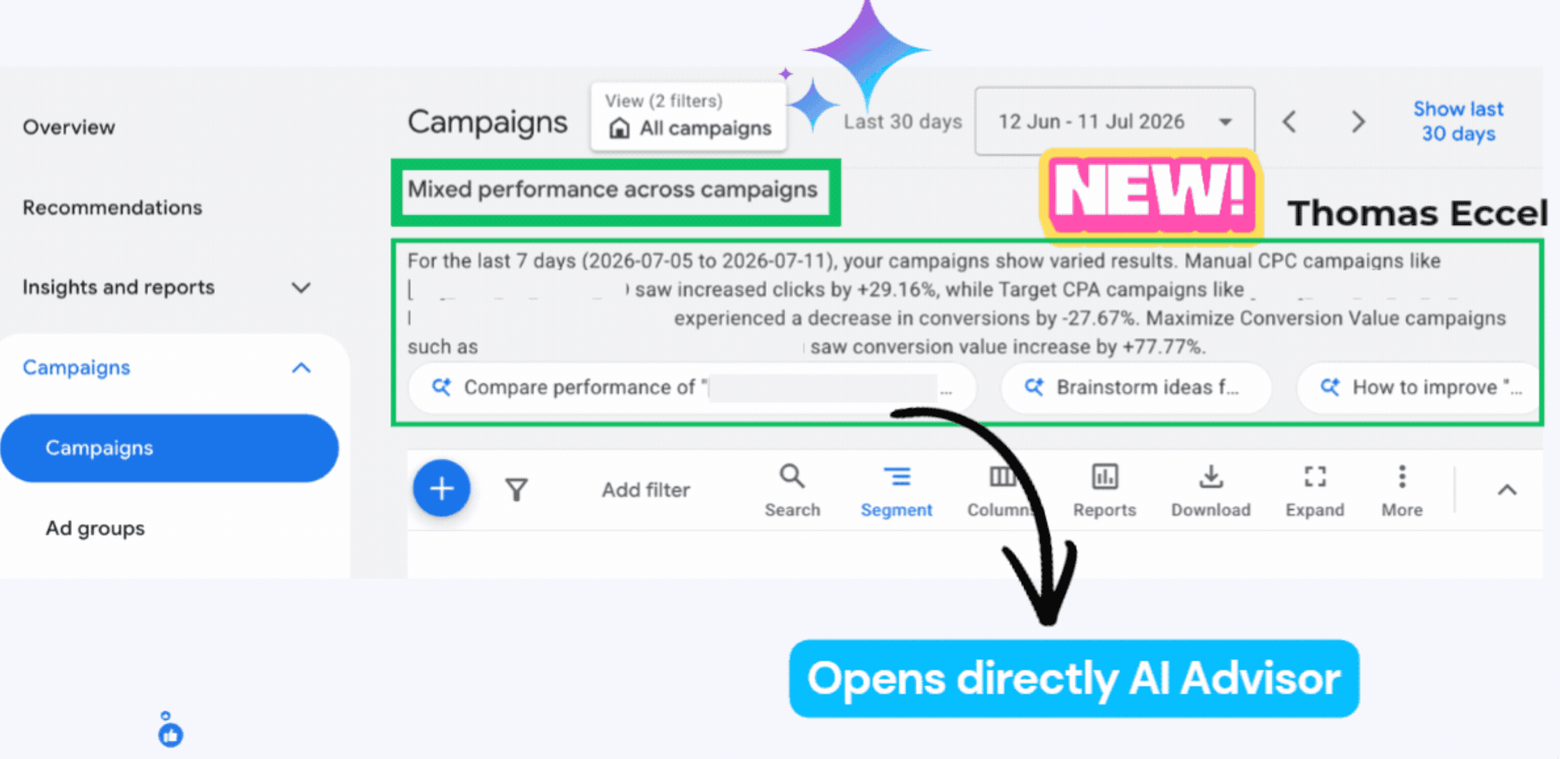 Google Ads campaign performance summary and AI Advisor prompts highlighted by Thomas Eccel