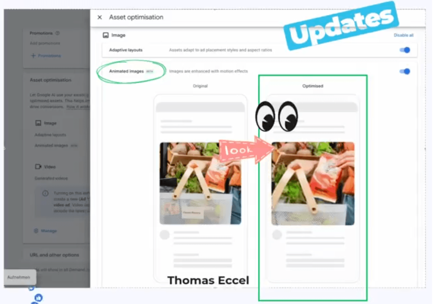 Demand Gen Animated images beta setting highlighted by Thomas Eccel
