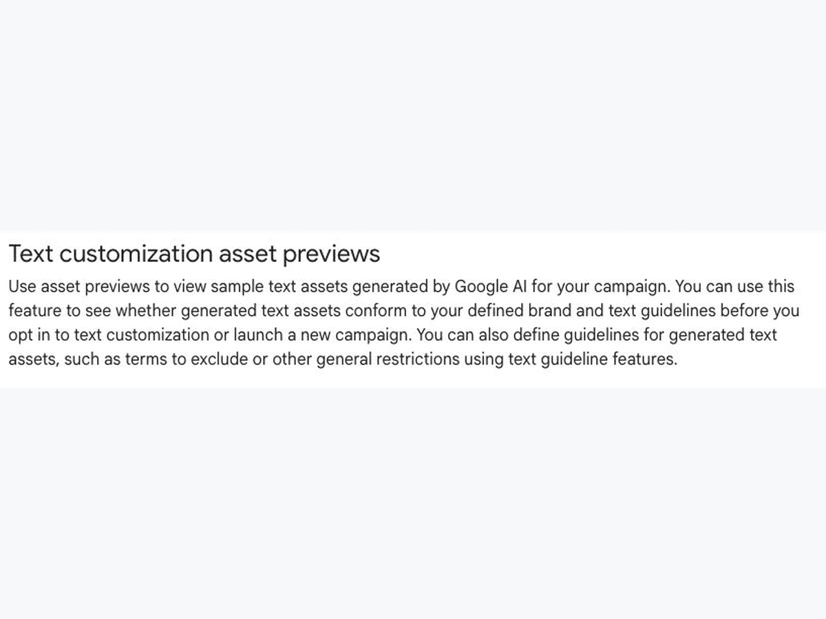 Google documentation describing text-customisation asset previews.